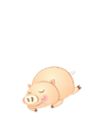 �캰�����ǿ